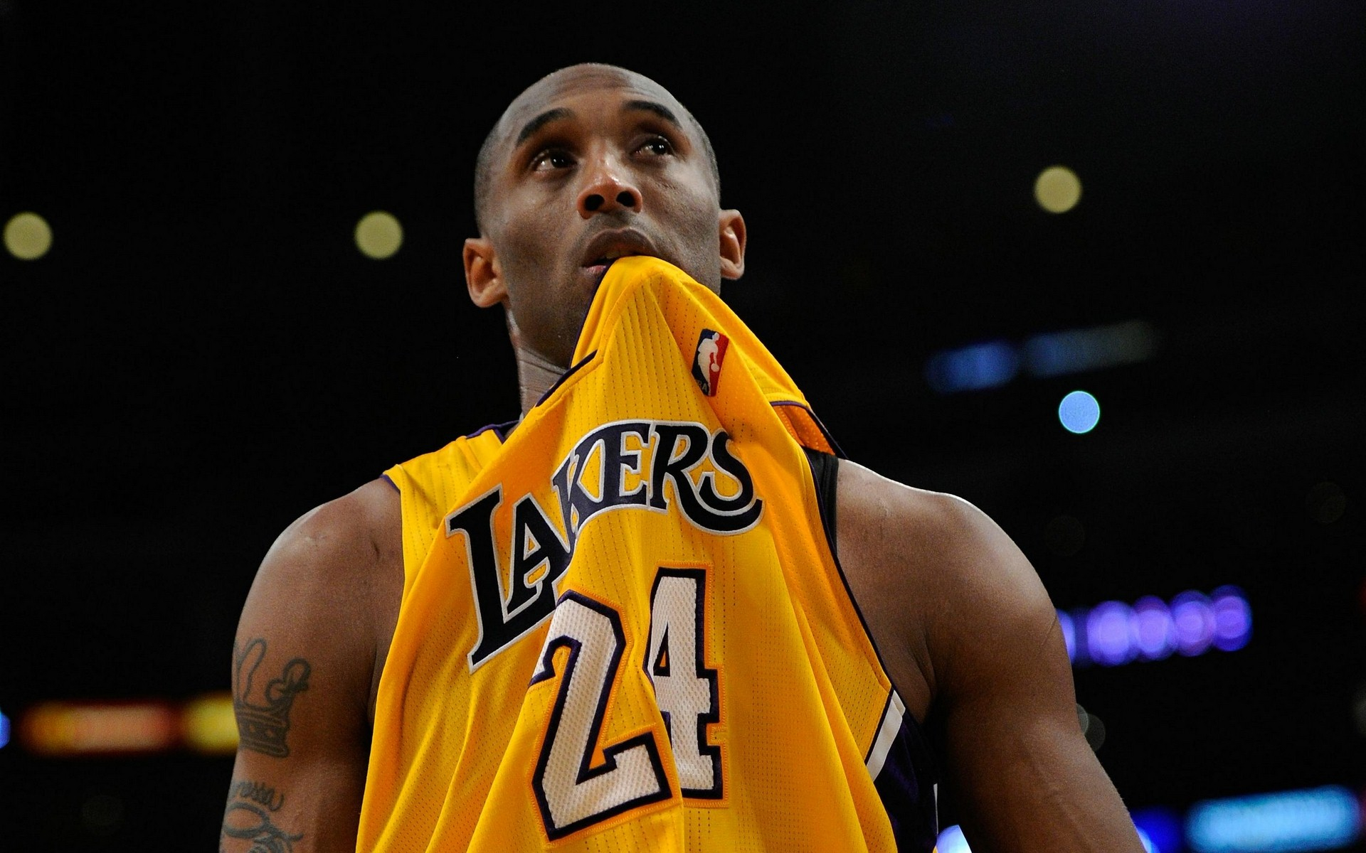 高强度的比 高强度的比